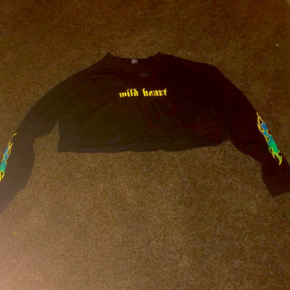 Long sleeve crop top shirt